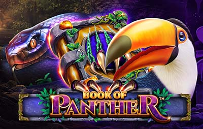 Book Of Panther
